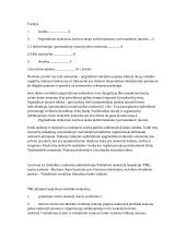 Pagrindiniai mokesčiai, kuriuos moka personalinės įmonės