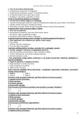 Socialiniai ir etiniai aspektai. Autorinių teisių  apsauga 6 puslapis