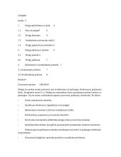 Pinigų vaidmuo ekonomikoje. Keinsistinis ir neoklasikinis požiūris