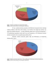 Bibliotekos teikiamų paslaugų kokybė 5 puslapis