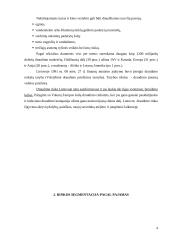 Draudimo kompanijų tyrimas 3 puslapis