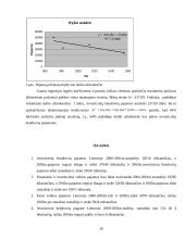 Investicinių bendrovių pajamų tiriamasis darbas 19 puslapis