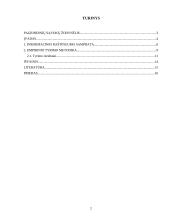 Kaimo žmonių informacinis raštingumas. Skaitmeninė atskirtis 2 puslapis