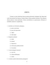 Kaimo žmonių informacinis raštingumas. Skaitmeninė atskirtis 17 puslapis