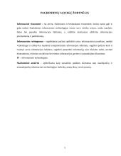 Kaimo žmonių informacinis raštingumas. Skaitmeninė atskirtis 3 puslapis