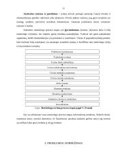 Kalėdinių nuolaidų įtakos vartotojams tyrimas 11 puslapis