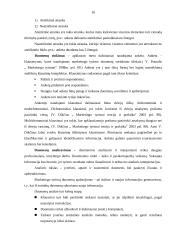 Kalėdinių nuolaidų įtakos vartotojams tyrimas 10 puslapis