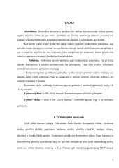 Konkurencingumo didinimo galimybės: UAB "Girių bizonas" 3 puslapis