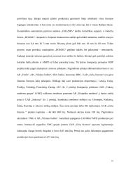 Konkurencingumo didinimo galimybės: UAB "Girių bizonas" 4 puslapis