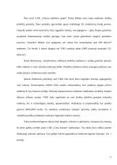 Konkurencingumo didinimo galimybės: UAB "Girių bizonas" 5 puslapis