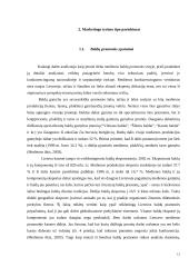 Konkurencingumo didinimo galimybės: UAB "Girių bizonas" 6 puslapis