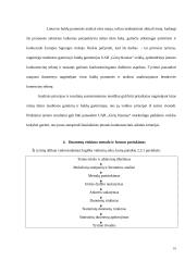 Konkurencingumo didinimo galimybės: UAB "Girių bizonas" 10 puslapis