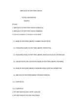 Smulkaus ir vidutinio verslo  plėtra regionuose