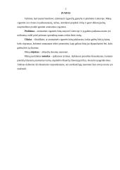 Marketingo tyrimas: aromatinės cigaretės 2 puslapis