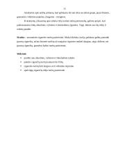 Marketingo tyrimas: aromatinės cigaretės 11 puslapis