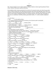 Marketingo tyrimas: aromatinės cigaretės 3 puslapis