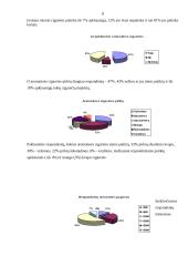 Marketingo tyrimas: aromatinės cigaretės 8 puslapis