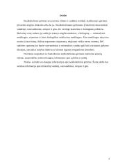 Nealkoholinių gėrimų asortimento tyrimas 3 puslapis