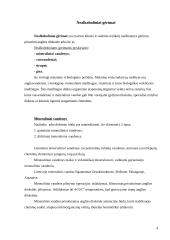 Nealkoholinių gėrimų asortimento tyrimas 4 puslapis