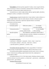 Nealkoholinių gėrimų asortimento tyrimas 6 puslapis