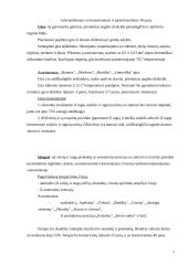 Nealkoholinių gėrimų asortimento tyrimas 7 puslapis