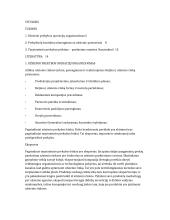 Tarptautinė prekyba ir jos veikla