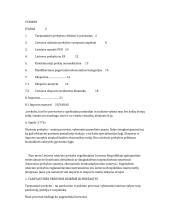 Tarptautinė prekyba referatas