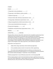 Tarptautinis verslas. Kursinis projektas