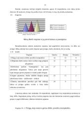 Paslaugas tiekiančių įmonių darbuotojų motyvacija 13 puslapis