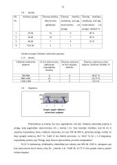 Paslaugas tiekiančių įmonių darbuotojų motyvacija 15 puslapis