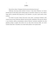 Paslaugas tiekiančių įmonių darbuotojų motyvacija 3 puslapis