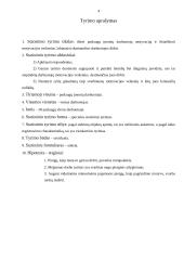 Paslaugas tiekiančių įmonių darbuotojų motyvacija 4 puslapis