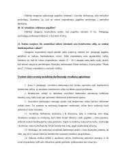 Pedagogų bendravimo stiliaus įtaka vaiko socialinei brandai 17 puslapis