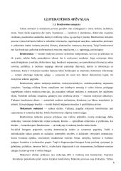 Pedagogų bendravimo stiliaus įtaka vaiko socialinei brandai 4 puslapis