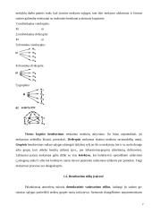 Pedagogų bendravimo stiliaus įtaka vaiko socialinei brandai 5 puslapis