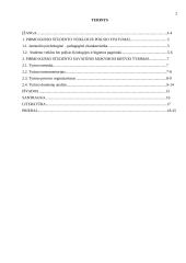 Pirmo kurso studento savaitinis mokymosi krūvis 2 puslapis