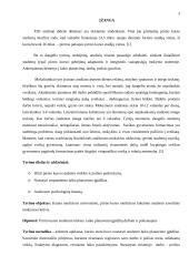 Pirmo kurso studento savaitinis mokymosi krūvis 3 puslapis