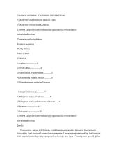 Transporto infrastruktūros