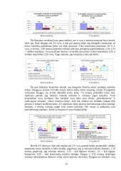 Sociologijos projektas: vairuojančios moterys 13 puslapis