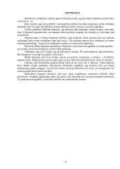 Sociologijos projektas: vairuojančios moterys 17 puslapis