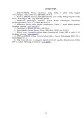 Sociologijos projektas: vairuojančios moterys 19 puslapis