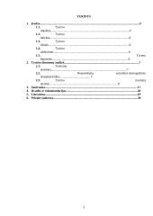 Sociologijos projektas: vairuojančios moterys 3 puslapis