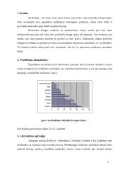 Sociologinis tyrimas: savižudybė 2 puslapis
