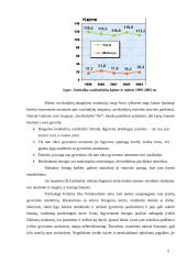 Sociologinis tyrimas: savižudybė 5 puslapis