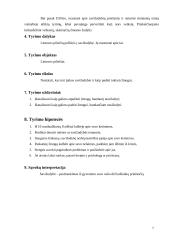 Sociologinis tyrimas: savižudybė 7 puslapis