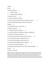 Vyriausybės biudžetinės politikos Lietuvoje analizė