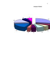 Statistinis tyrimas: vieno mėnesio namų ūkio išlaidos 6 puslapis