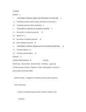 Valstybinių popierių rinka