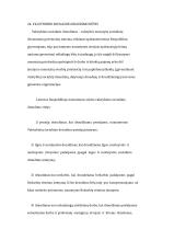 Valstybinio socialinio draudimo rūšys