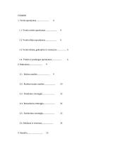 Verslo planas individuali įmonė “Jums”